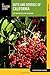 Nuts and Berries of California (Nuts and Berries Series)