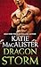 Dragon Storm (Dragon Falls #2)