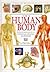 The Human Body