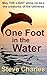 ONE FOOT IN THE WATER by Steve Charles