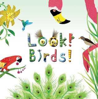 Look! Birds! (Hardcover)