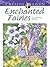 Adult Coloring Enchanted Fairies Coloring Book by Barbara Lanza