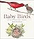 Baby Birds: An Artist Looks...