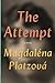 The Attempt by Magdaléna Platzová