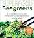 Superfood Seagreens by Barton Seaver