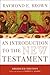 An Introduction to the New Testament: The Abridged Edition (The Anchor Yale Bible Reference Library)