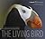 Living Bird by Gerrit Vyn