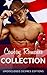 ROMANCE: Cowboy Collection (Alpha Male Western Rancher Texas Box Set) (Military BBW Contemporary Bad Boy Anthologies)