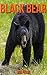 Black Bear: Children Book o...