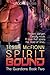 Spirit Bound (The Guardians...