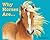 Why Horses Are