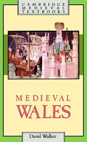 Medieval Wales (Paperback)