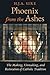 Phoenix from the Ashes by H.J.A. Sire