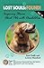 Lost Souls: FOUND! Inspiring Stories About Pets with Disabilities, Vol. II