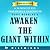 Awaken the Giant Within by Anthony Robbins | How to Take Imme... by WiseMinds