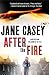 After the Fire (Maeve Kerrigan, #6)