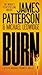Burn (A Michael Bennett Thriller, 7)