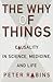 The Why of Things: Causality in Science, Medicine, and Life