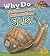Why Do Snails and Other Animals Have Shells? (Heinemann Read & Learn; Animal Body Coverings)