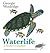 Waterlife: A Mindful Coloring Book