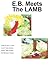 E.B. Meets the Lamb (adifferentkindofstorybook)