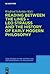 Reading between the lines – Leo Strauss and the history of early modern philosophy (New Studies in the History and Historiography of Philosophy, 3)
