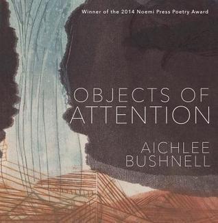 Objects of Attention (Paperback)