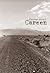 Careen