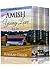 Amish Young Love Box Set