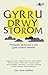 Gyrru Drwy Storom: Profiadau Dirdynnol o Fyw Gyda Salwch Meddwl (Welsh Edition)
