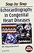 Step by Step Echocardiography in Congenital Heart Diseases with DVD-Rom (E): 2006