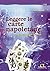 Leggere le carte napoletane: Una finestra sull'infinito (Italian Edition)