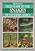 Field Guide to the Snakes of Southern Africa by bill-branch