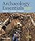 Archaeology Essentials: Theories, Methods, and Practice (Third Edition)