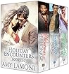 Holiday Encounters Books 1-3 by Amy Lamont