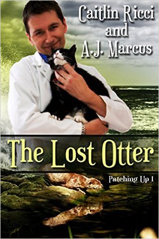 The Lost Otter (Patching Up, #1)