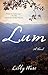 Lum: A Novel