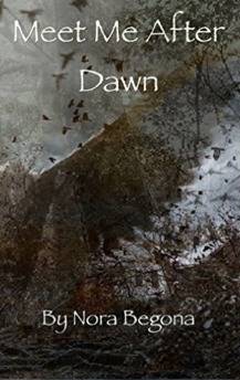 Meet Me after Dawn