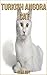 Turkish Angora Cat: Beautiful Pictures & Interesting Facts Children Book About Turkish Angora Cat