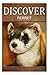 Ferret - Discover: Early re...