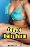 Cow of Dairy Farm Cow of Dairy Farm