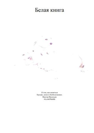 Белая книга (ebook)