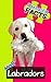 Fantastic Facts About Labradors: Illustrated Fun Learning For Kids