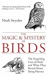 The Magic & Myste...