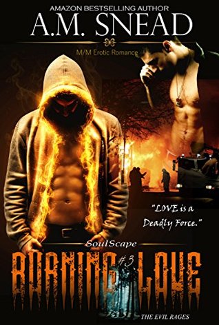 Burning Love (Soulscape #3)