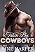 Taken By Cowboys (Group, Menage, Cowboy, BDSM, Bondage)