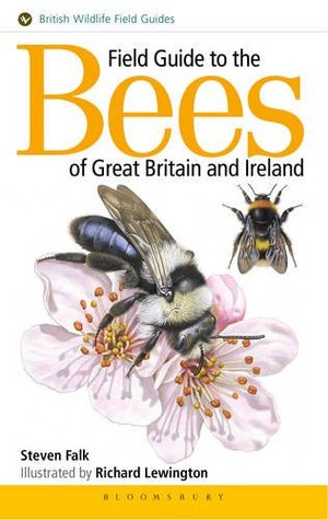 Field Guide To The Bees Of Great Bri/Ire (Paperback)