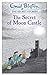 The Secret of Moon Castle by Enid Blyton