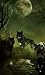 Genus Unknown: Wolf