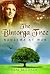 The Bintorga Tree: Nanzema ...